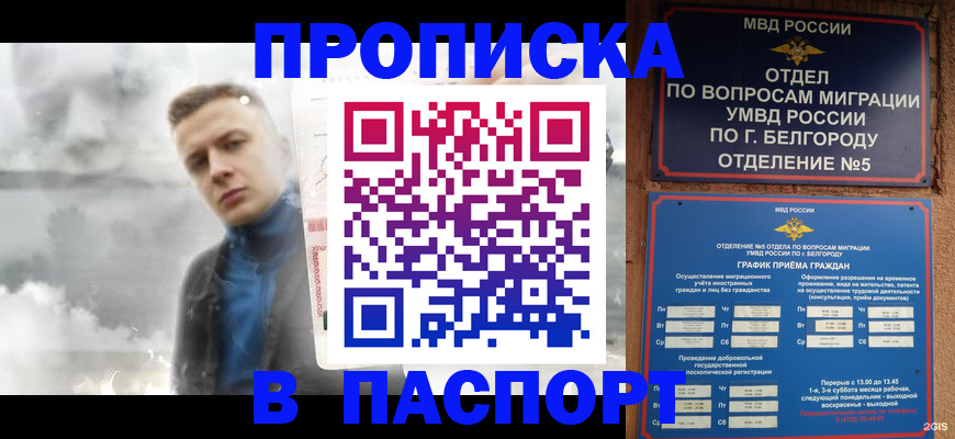 временная регистрация в Сольцах